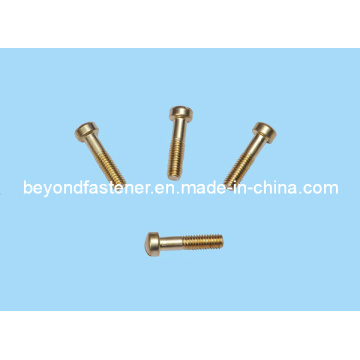 Bronze Bolts Brass Screw Copper Screw/Special Fastener